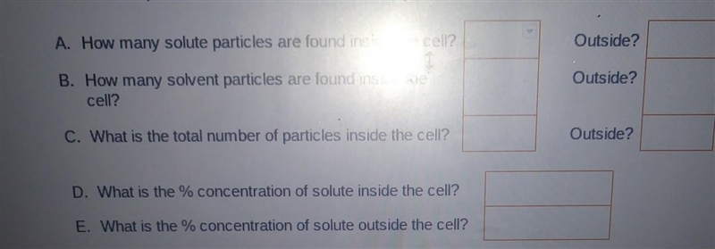 I need help with this please​-example-1