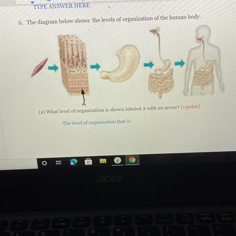 Solve this question?-example-1