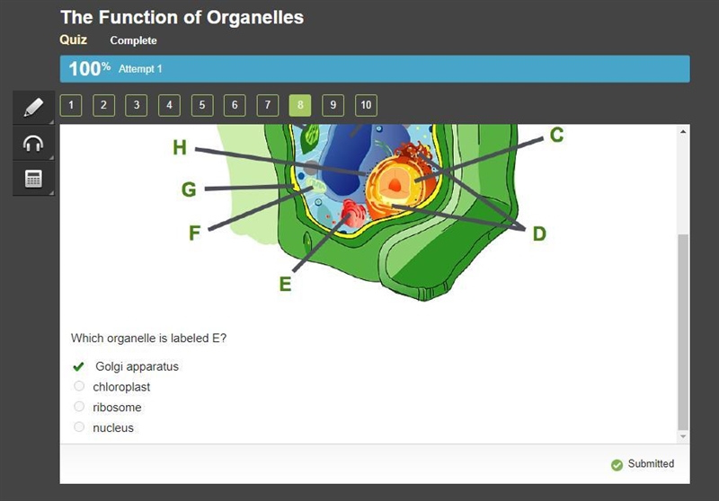 Consider this plant cell. The organelles in a plant cell are labeled. Part E is a-example-1