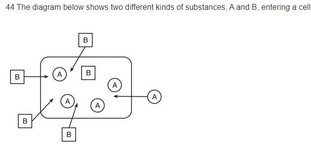 ATP is most likely being used for 1. substance A to enter the cell 2 . substance B-example-1