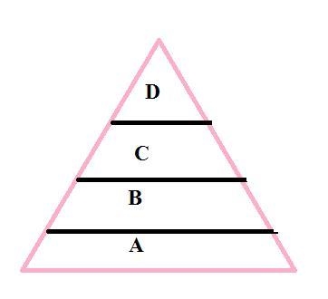 The diagram represents a food pyramid. The concentration of the pesticide DDT in individual-example-1