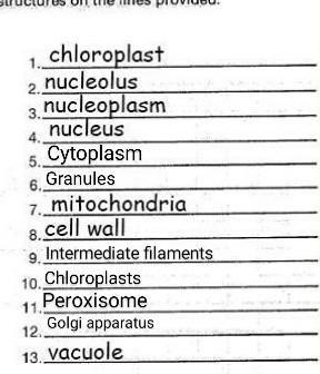 PARTS OF A CELL--- could someone help me fill in the rest of the blanks?-example-1