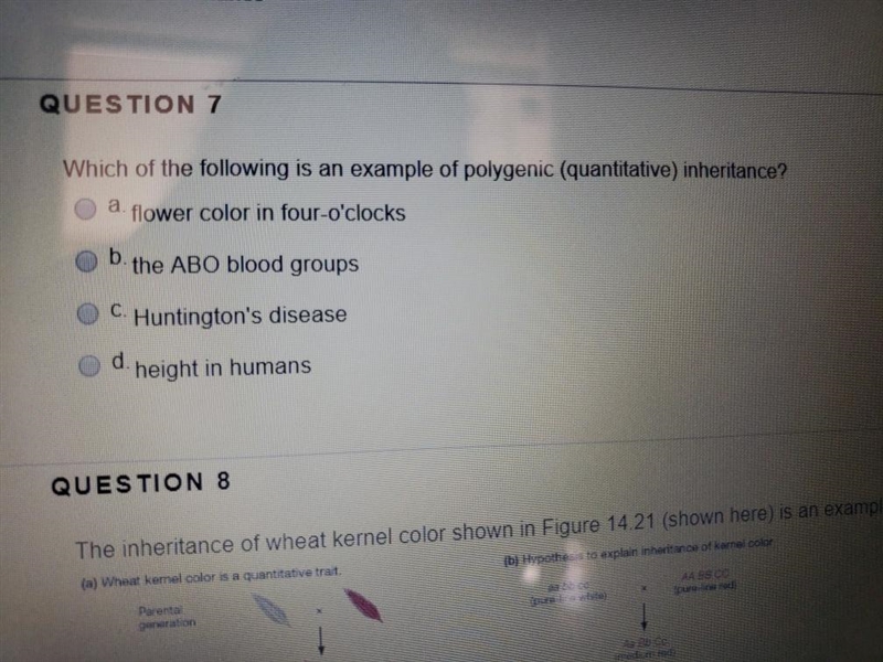 Which of the following is an example of polygenic (quantitative) inheritance? a. the-example-1