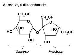 Identify monomers and describe the function for all macromolecules-example-2