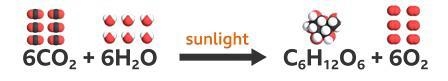 The chemical reaction of water and carbon dioxide to form sugar is ... reaction in-example-1