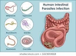 Predict how predation might evolve. For example, a parasite might evolve to become-example-1