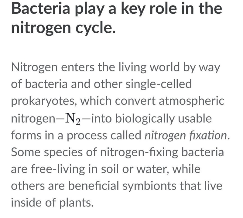 Summarize the role of bacteria in keeping the nitrogen cycle balanced.-example-1