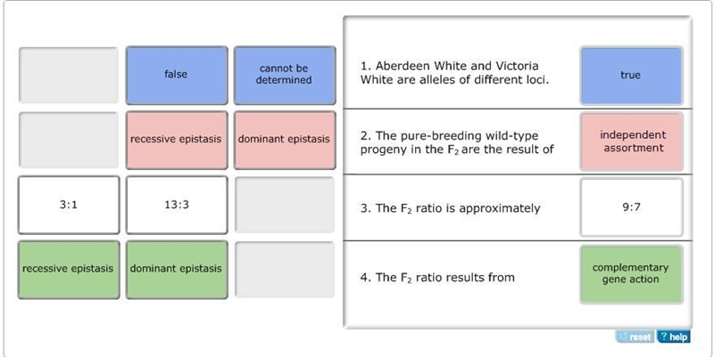 You study color variants of Arabidopsis hypotheticus, a plant with red flowers. You-example-1