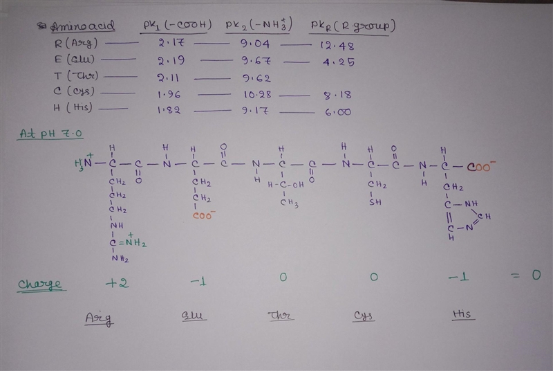 You are evaluating the pH-dependent properties of the peptide R-E-T-C-H. You do NOT-example-1