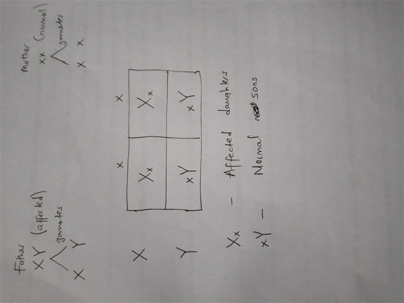 If a father is affected by an X-linked dominant condition and the mother is not, which-example-1