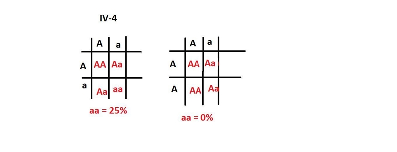 This Pedigree represents a family with an Autosomal Recessive Disorder. What is the-example-1