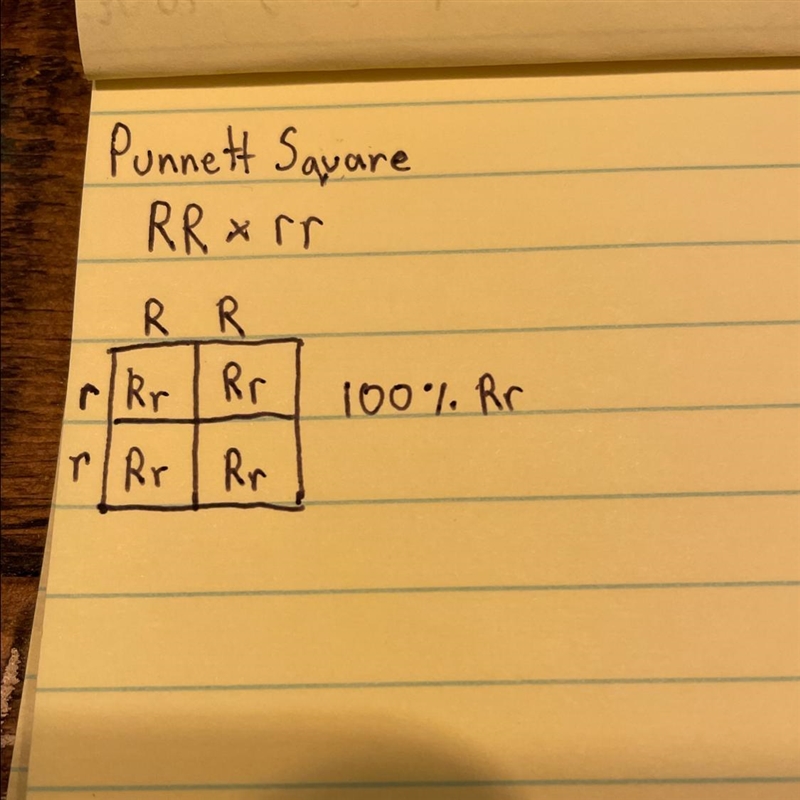 What is the phenotype(s) you can expect from crossing a pure round parent and a pure-example-1