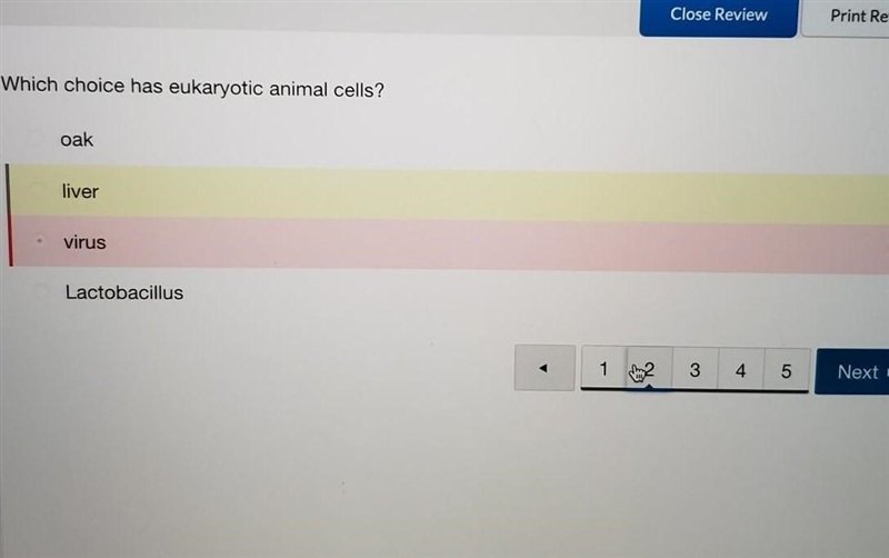 Which choice has eukaryotic animal cells? oak liver Lactobacillus virus-example-1