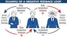 What is negative biofeedback?-example-1