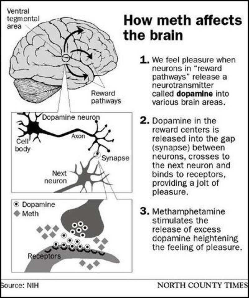 Methamphetamine increases the brain's levels of dopamine, __________ and __________. a-example-2