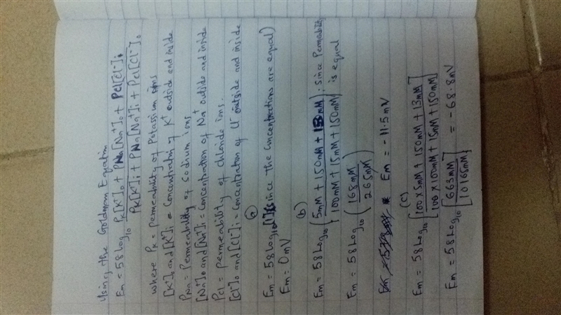 Calculate the membrane potential of a neuron at standard temperature under each of-example-1