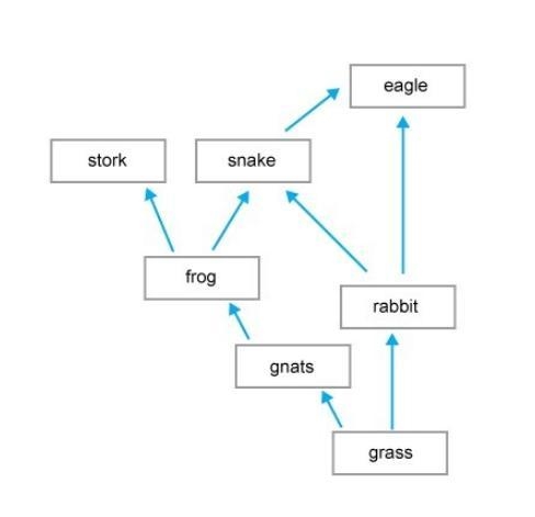 In this ecosystem, pollution and human activities have caused a rapid decrease in-example-1