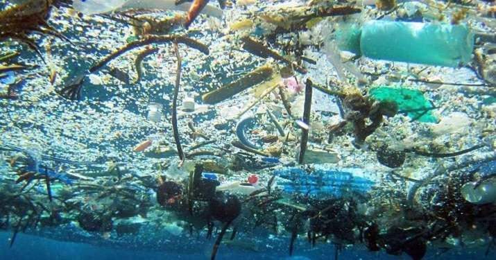 What is the great pacific garbage patch-example-2