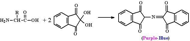 What are two chemicals used in testing for protein other-example-1