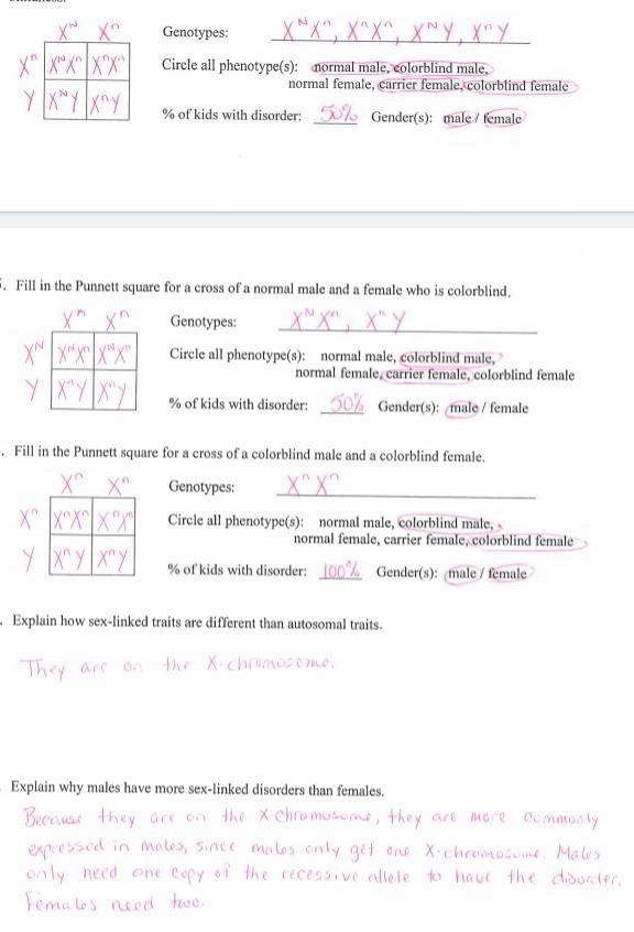 Sex-Linked Disorder-example-1