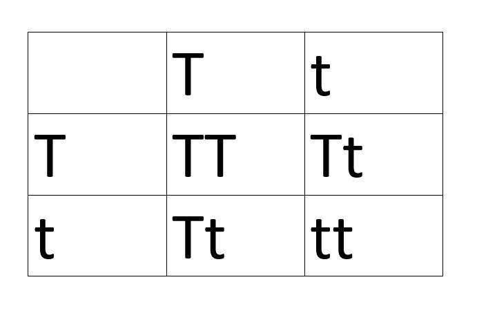 Tall is dominant to short among pea plants. Choose appropriate symbols for these two-example-2