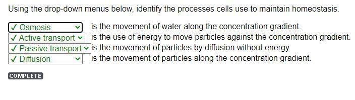 Is the movement of particles along the concentration gradient.-example-1