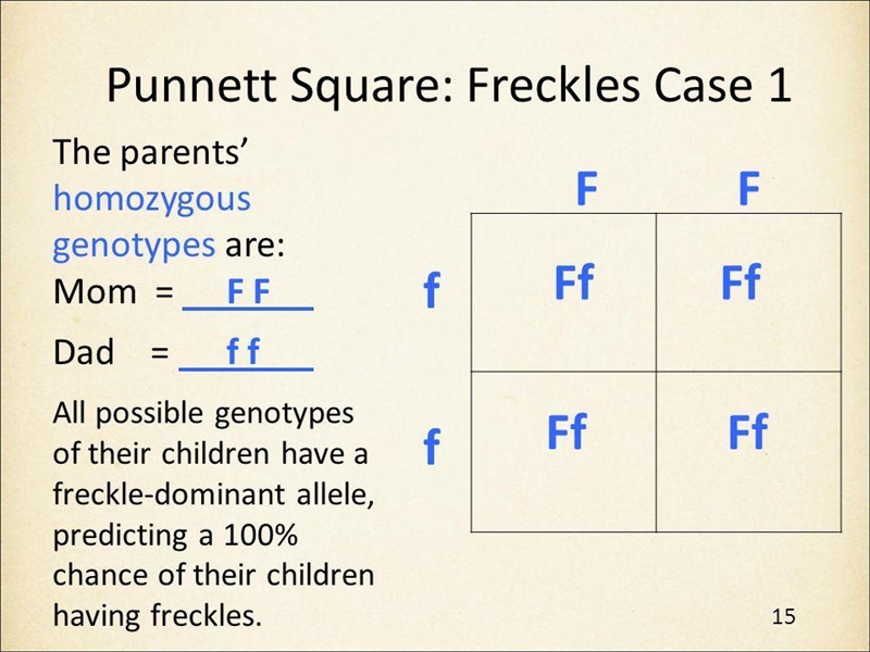 In human freckles (F) is dominant to no freckles (f) what is the probability of having-example-2