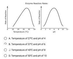 The graphs show the reaction rate for an enzyme across a range of temperatures and-example-1