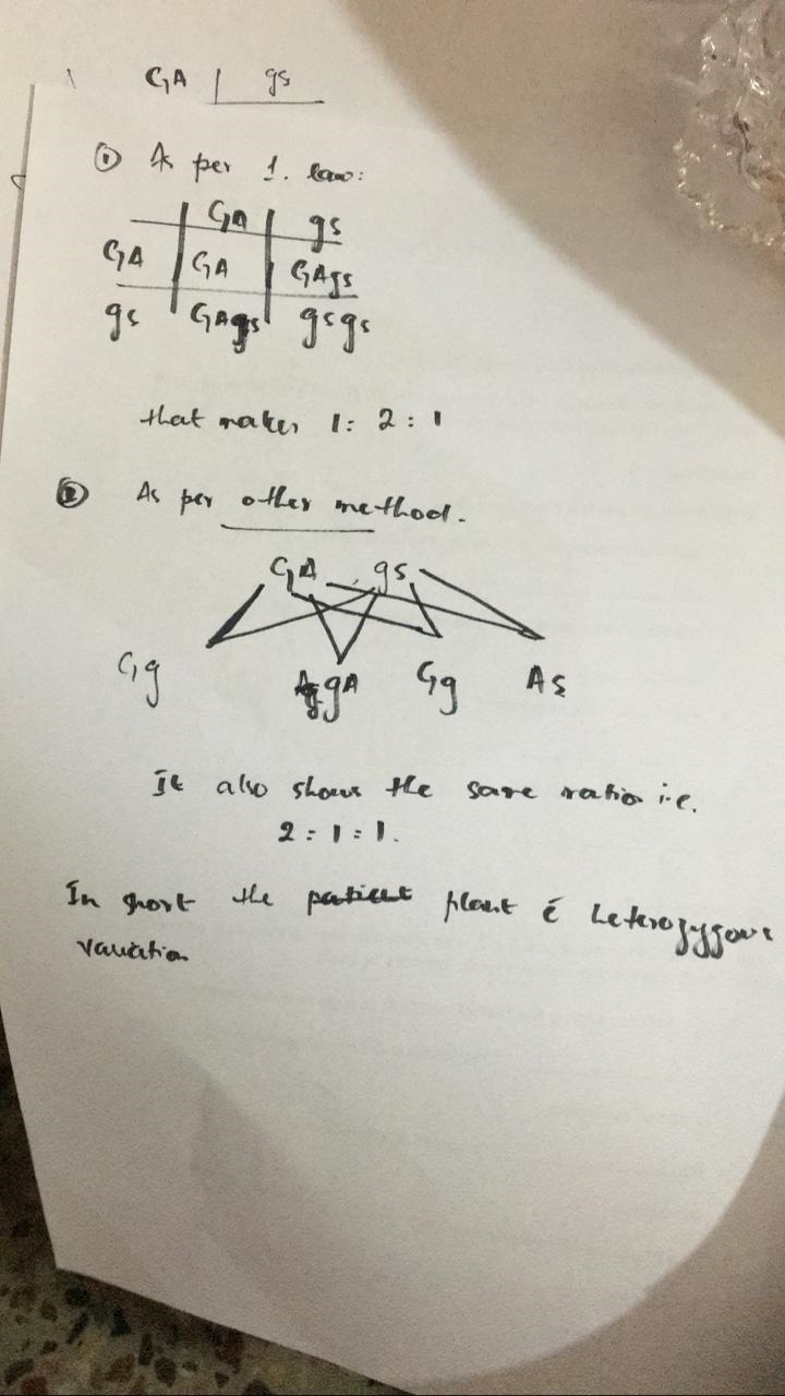 A plant that is heterozygous for all three traits is crossed with a plant that is-example-1