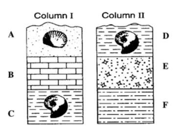 Which two layers are approximately the same age? core sample 1 core sample 2-example-1