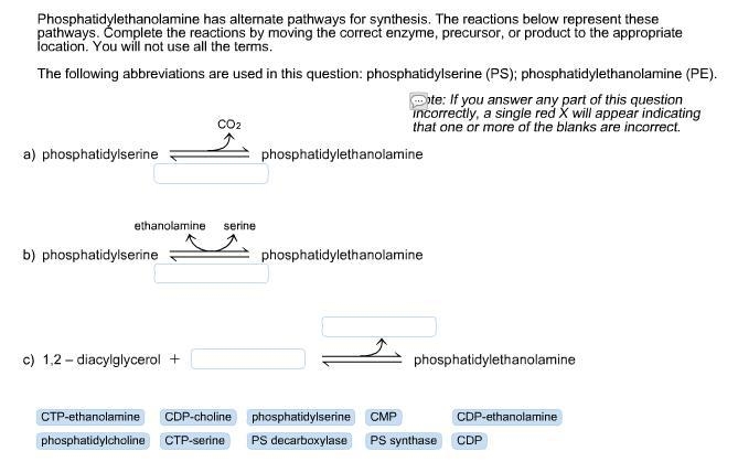 Phosphatidylethanolamine has alternate pathways for synthesis. The reactions represent-example-2