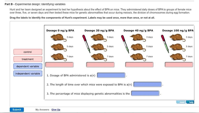 Hunt and her team designed an experiment to test her hypothesis about the effect of-example-1