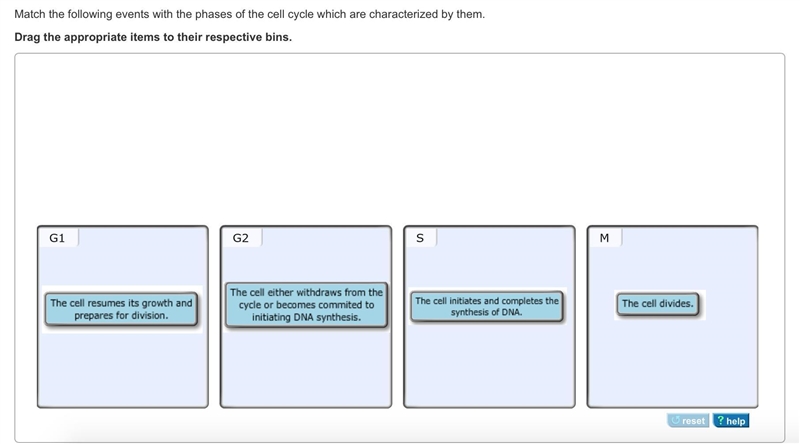 Contrast spermatogenesis and oogenesis. Part A Drag each description to the appropriate-example-2