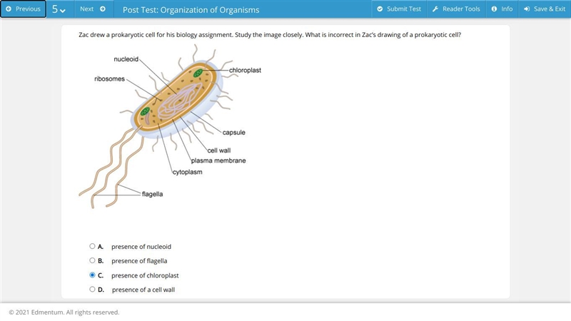 Zac drew a prokaryotic cell for his biology assignment. Study the image closely. What-example-1