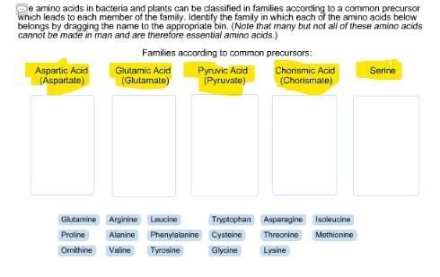 The amino acids in bacteria and plants can be classified in families based on the-example-1