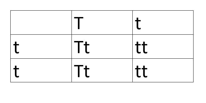 In certain plants, tall is dominant to short. A member of your class accidentally-example-1