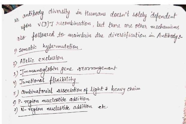 Can antibody diversity in humans be explained solely by V(D)J recombination? Why or-example-1