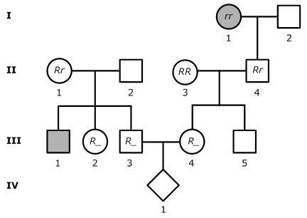 Individuals III-3 and III-4 are expecting their first child when they become aware-example-1