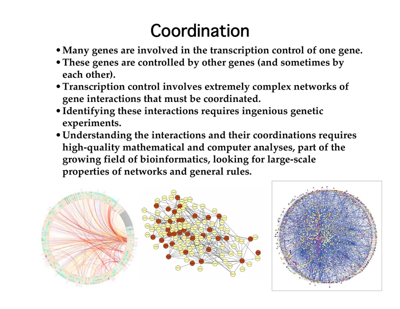 14. briefly outline why control of transcription is more complex in eukaryotes than-example-5