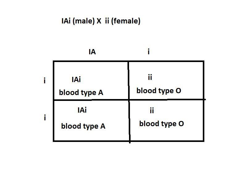 A woman with type O blood is expecting a child. Her husband is type A. Both the woman-example-1