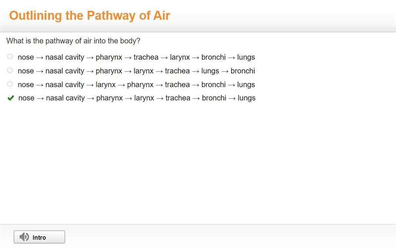 What is the pathway of air into the body?-example-1