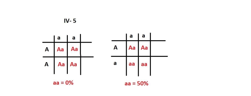 This Pedigree represents a family with an Autosomal Recessive Disorder. What is the-example-2