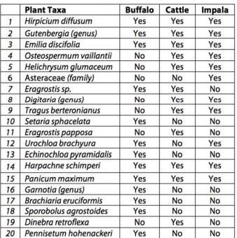 Which two animals have the most overlap in their diets-example-1