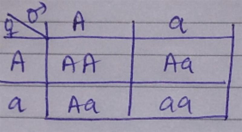 Achondroplasia is an autosomal dominant form of dwarfism. People with achondroplasia-example-1