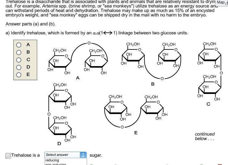 Trehalose is a disaccharide that is associated with plants and animals that are relatively-example-1