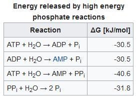 Which one yields the most energy, and what is involved? Group of answer choices a-example-1