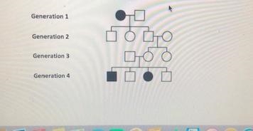 Consider the pedigree below. The circles represent females and the boxes, males. White-example-1