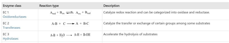 List and explain the three classes of enzymes​-example-1