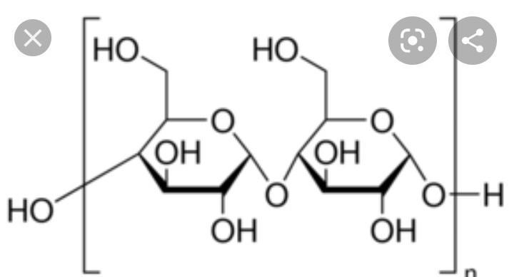 Draw a starch structure​-example-1