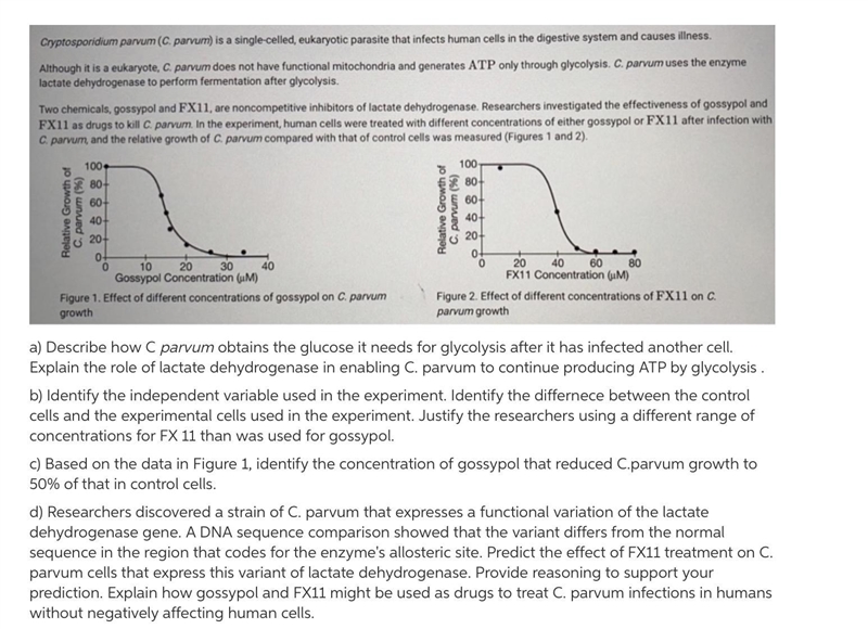 Researchers discovered a strain of C. parvum that expresses a functional variation-example-1